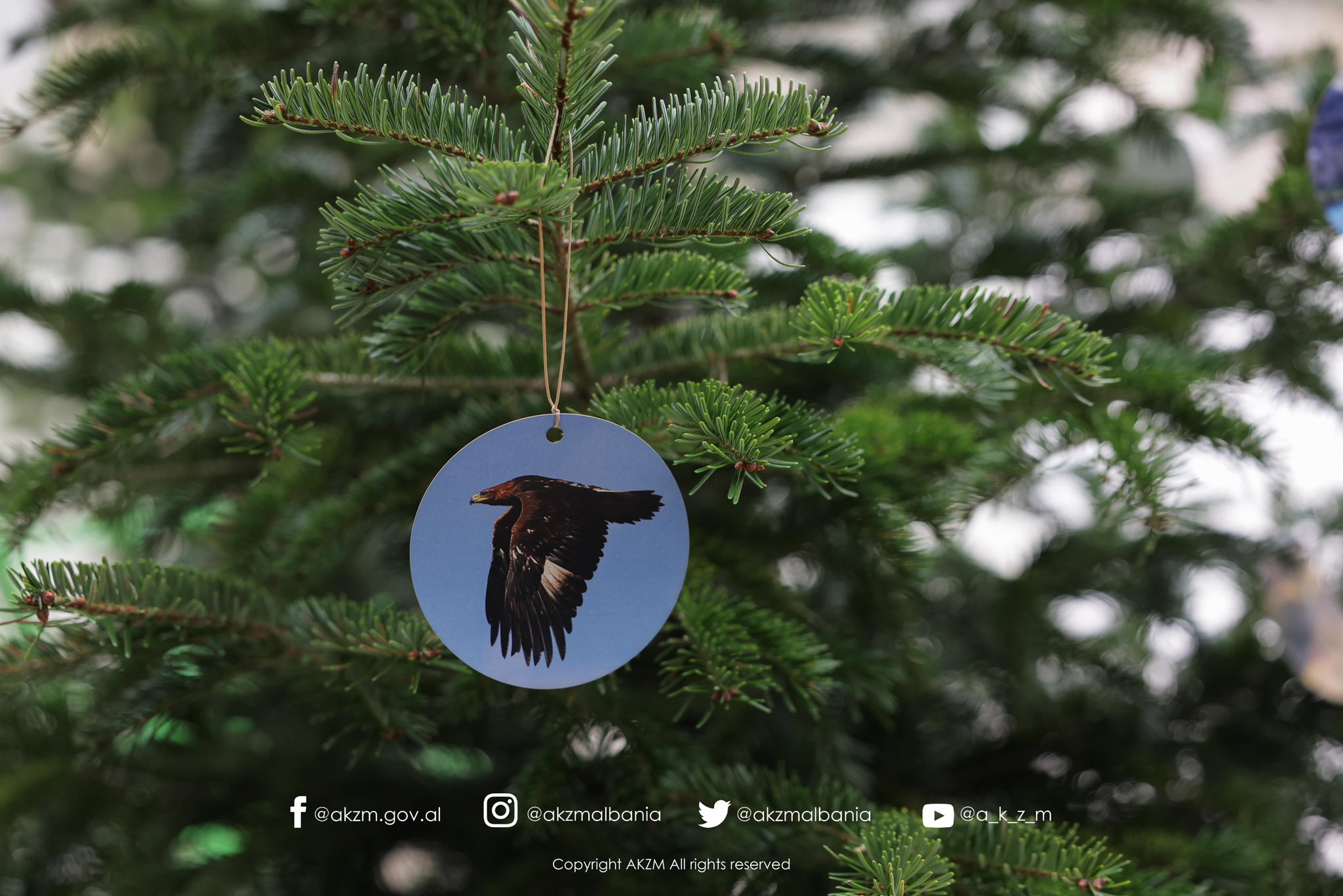 Eventi “Për ty Natyrë | Suksesi i një vizioni”