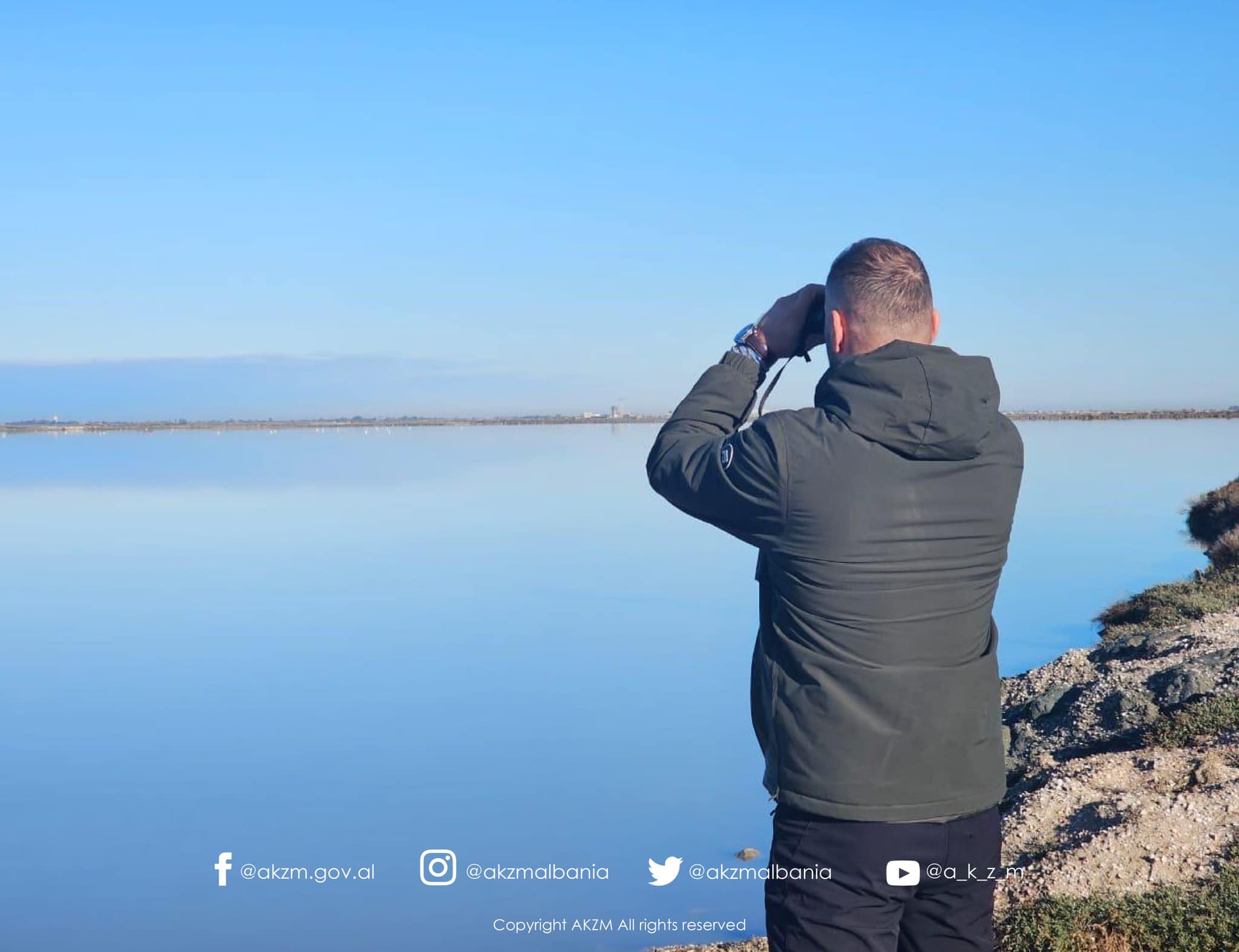 Realizohet në Shqipëri “Censusit dimëror i popullatave perëndimore të pelikanit kaçurrel”