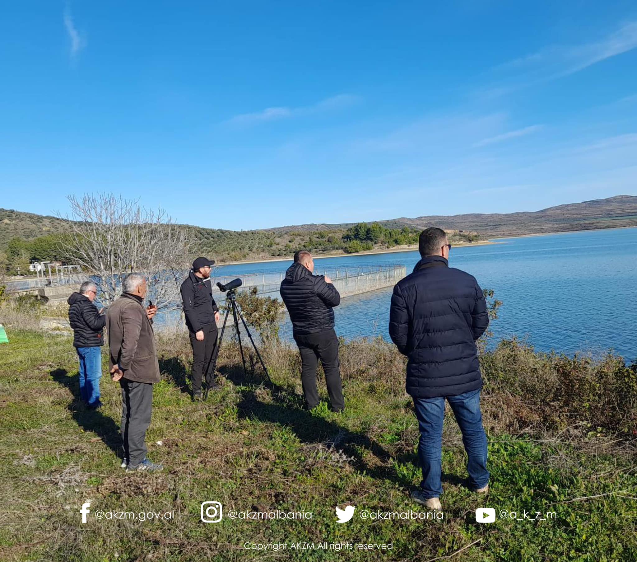 Realizohet në Shqipëri “Censusit dimëror i popullatave perëndimore të pelikanit kaçurrel”