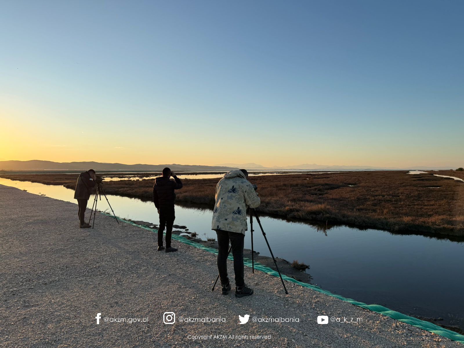 Censusi Ndërkombëtar i Shpendëve Ujorë Dimërues në Shqipëri 2026
