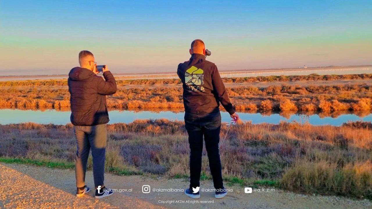 Censusi Ndërkombëtar i Shpendëve Ujorë Dimërues në Shqipëri 2026