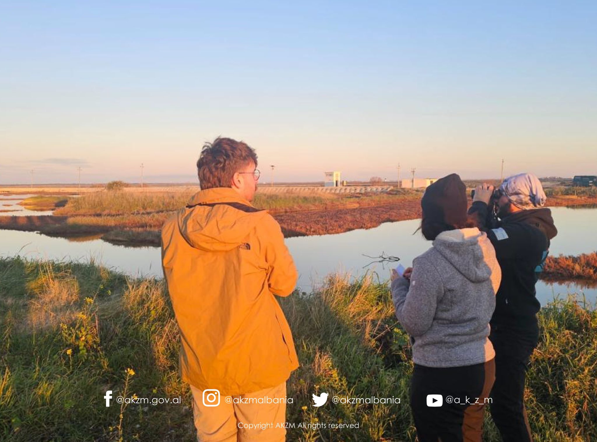 Censusi Ndërkombëtar i Shpendëve Ujorë Dimërues në Shqipëri 2026