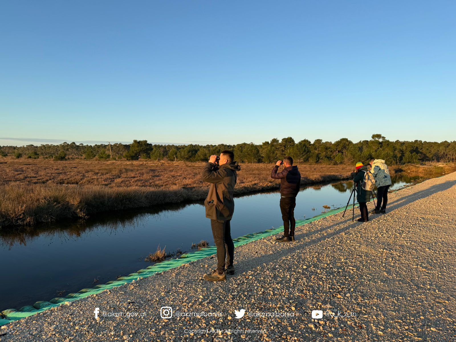 Censusi Ndërkombëtar i Shpendëve Ujorë Dimërues në Shqipëri 2026