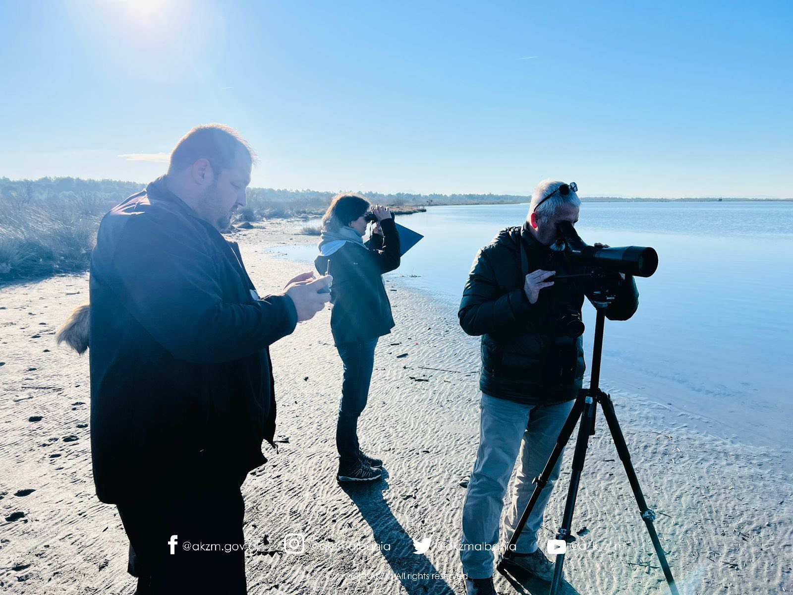 Censusi Ndërkombëtar i Shpendëve Ujorë Dimërues në Shqipëri 2026