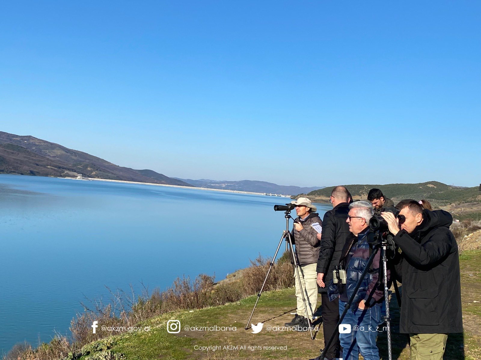 Censusi Ndërkombëtar i Shpendëve Ujorë Dimërues në Shqipëri 2026