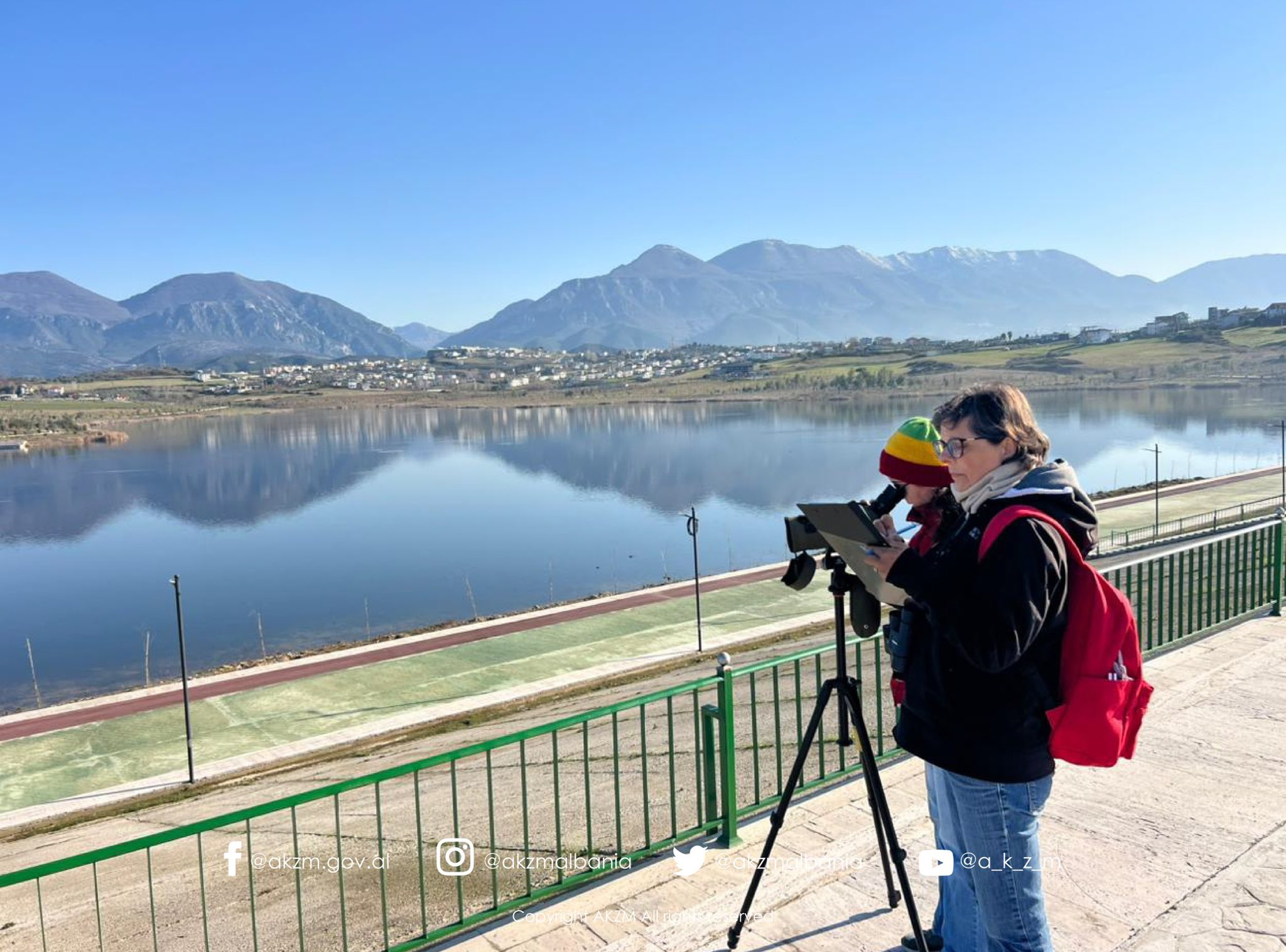 Censusi Ndërkombëtar i Shpendëve Ujorë Dimërues në Shqipëri 2026