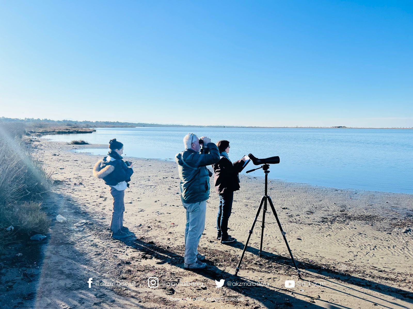 Censusi Ndërkombëtar i Shpendëve Ujorë Dimërues në Shqipëri 2026