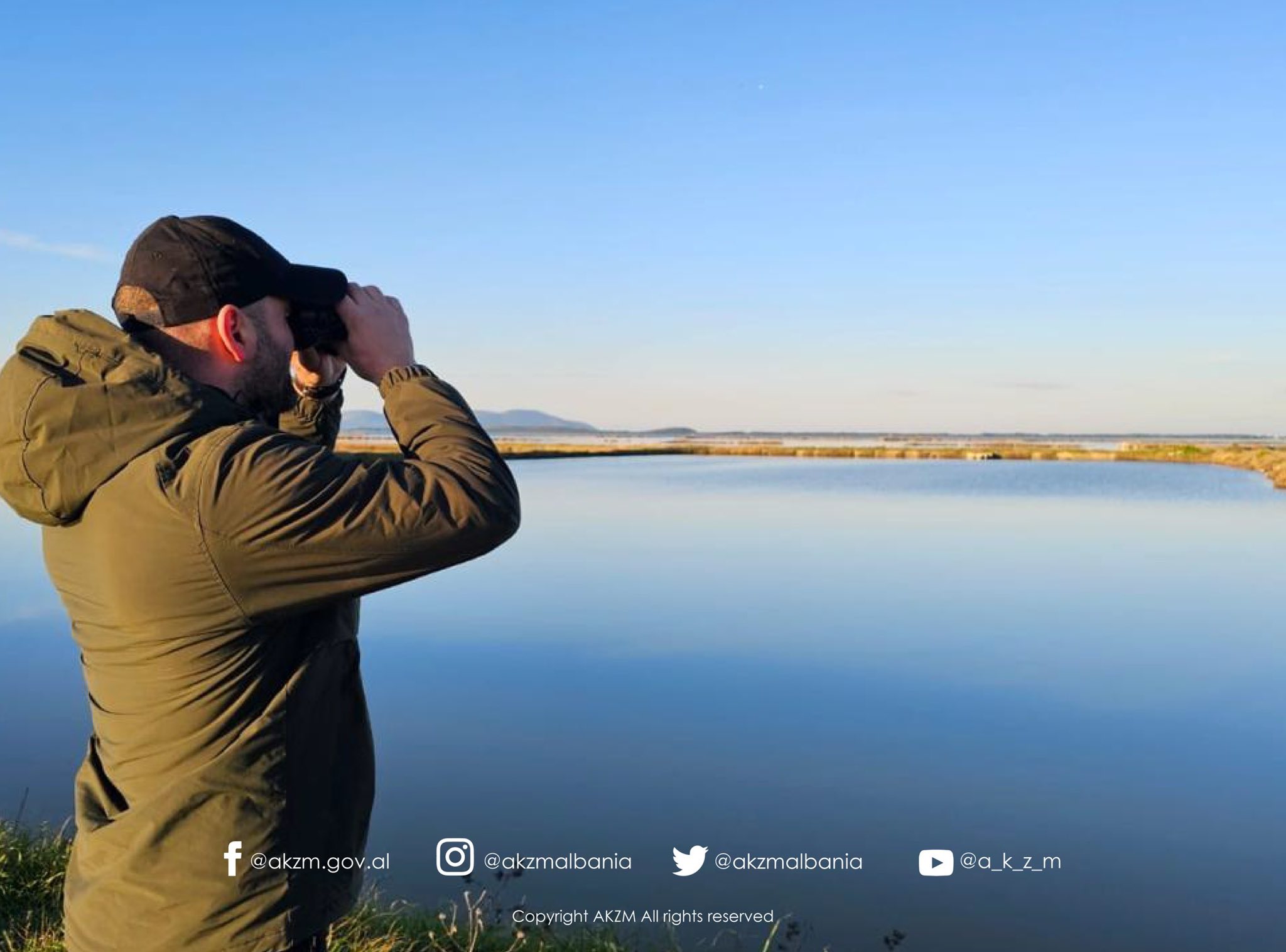 Censusi Ndërkombëtar i Shpendëve Ujorë Dimërues në Shqipëri 2026