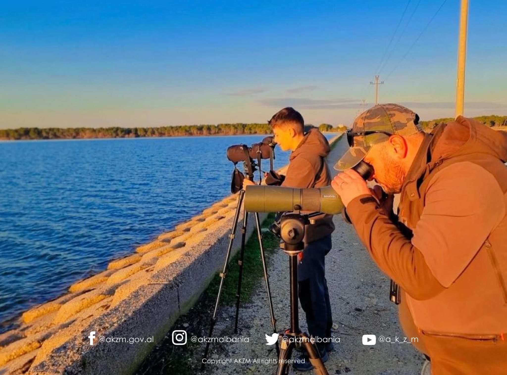 Censusi Ndërkombëtar i Shpendëve Ujorë Dimërues në Shqipëri 2026