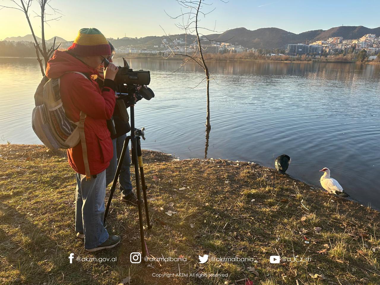 Censusi Ndërkombëtar i Shpendëve Ujorë Dimërues në Shqipëri 2026