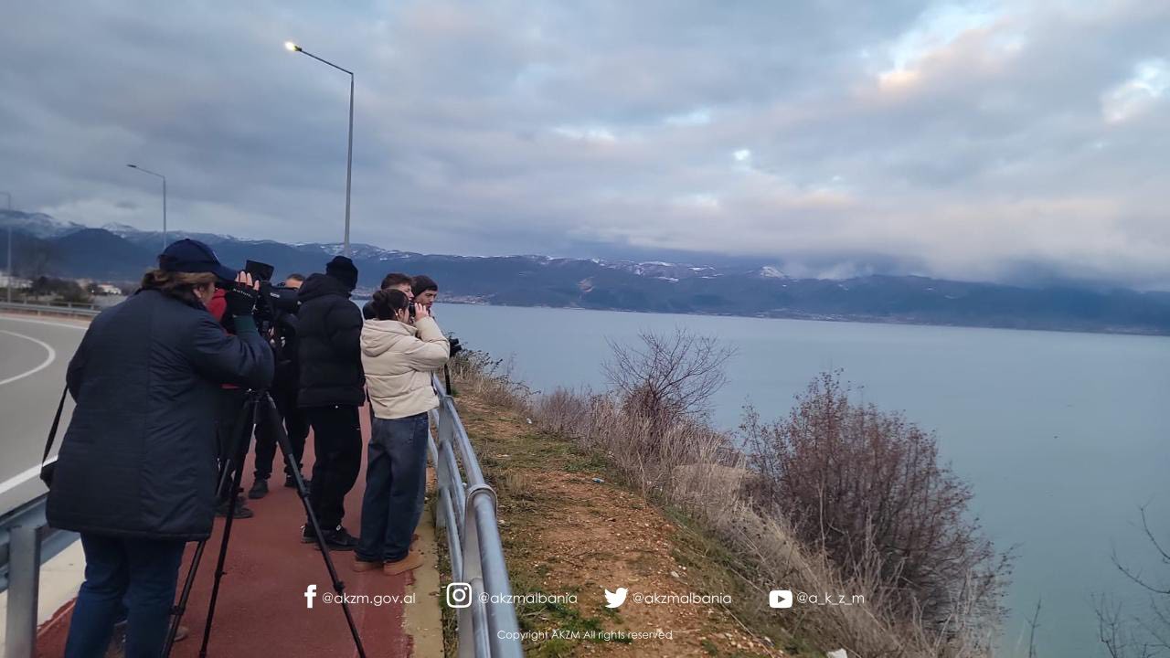 Censusi Ndërkombëtar i Shpendëve Ujorë Dimërues në Shqipëri 2026