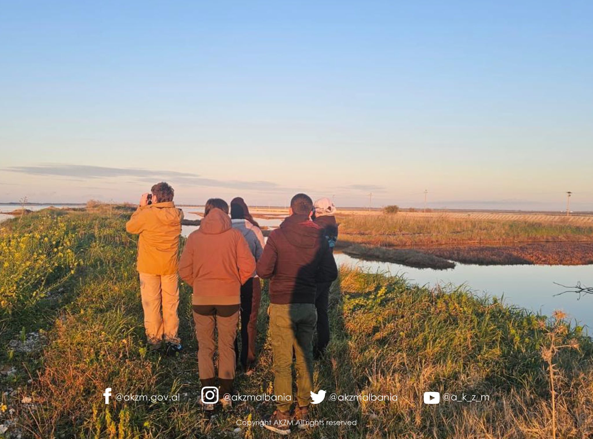 Censusi Ndërkombëtar i Shpendëve Ujorë Dimërues në Shqipëri 2026