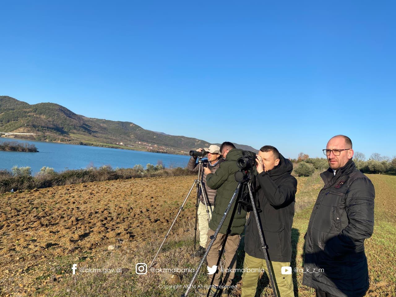 Censusi Ndërkombëtar i Shpendëve Ujorë Dimërues në Shqipëri 2026