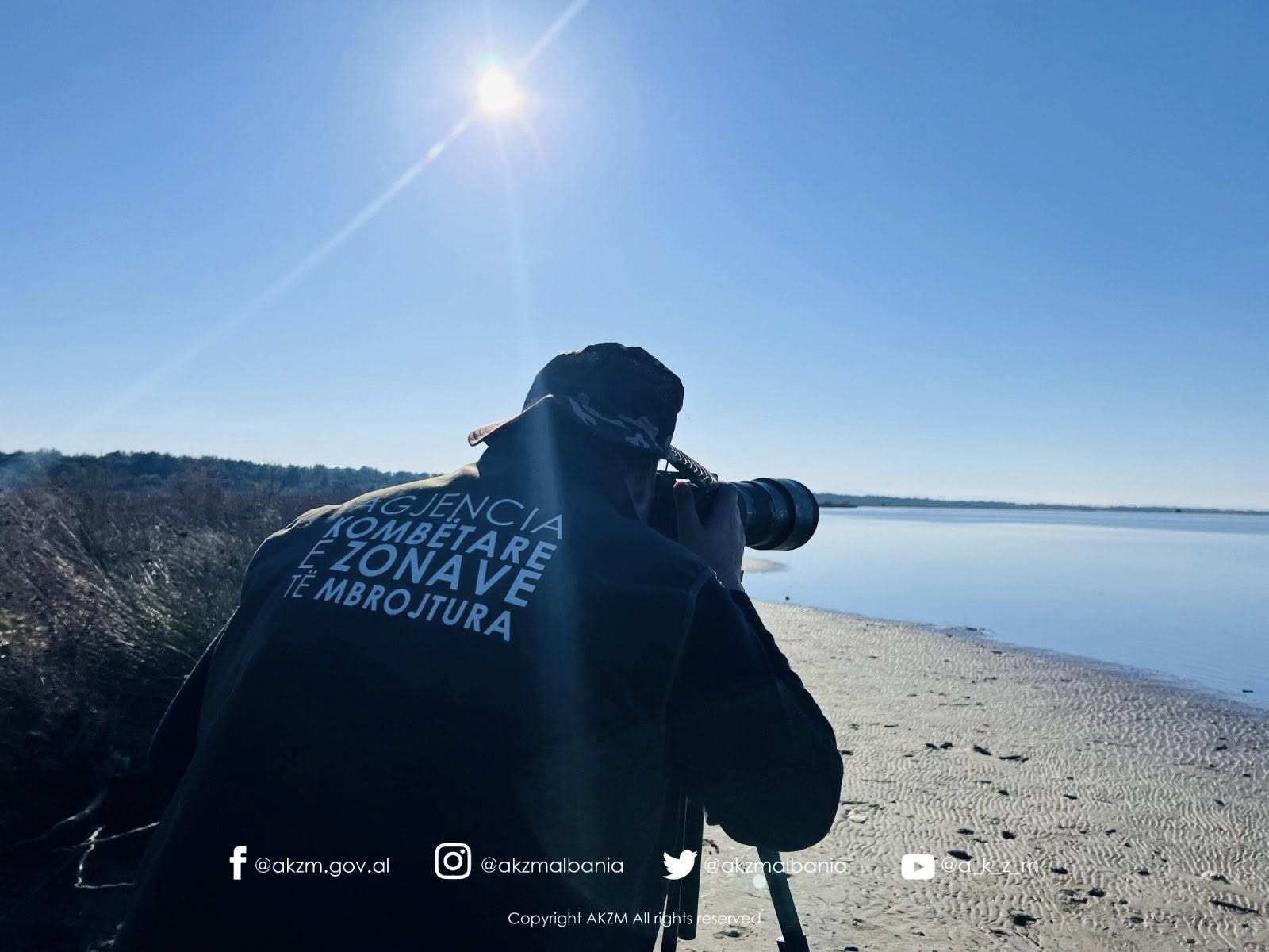 Censusi Ndërkombëtar i Shpendëve Ujorë Dimërues në Shqipëri 2026