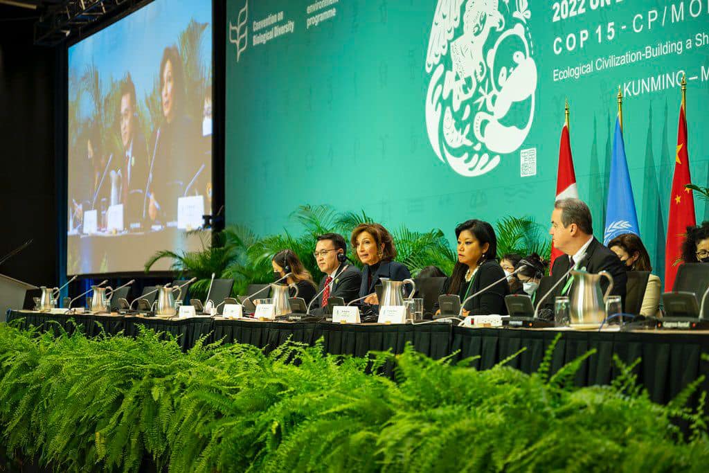 Kumbaro pjesëmarrëse në COP15, eventi më i rëndësishëm mbi biodiversitetin
