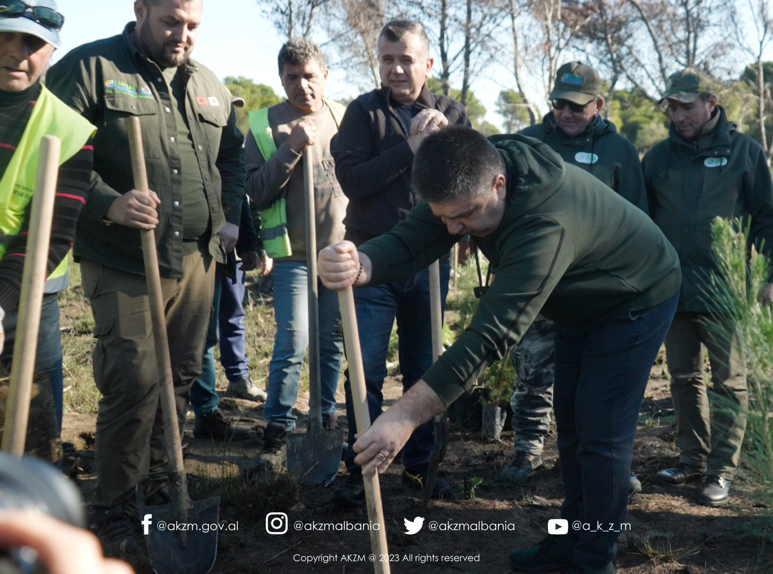 Planting for the regeneration of the Pishë-Poros ecosystem begins