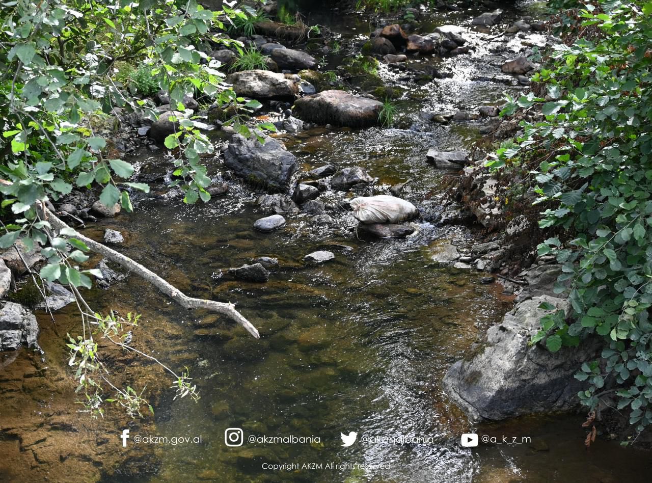 Nisma ‘Male të Pastra’, një aksion pastrimi i ndërmarrë në të gjithë Shqipërinë