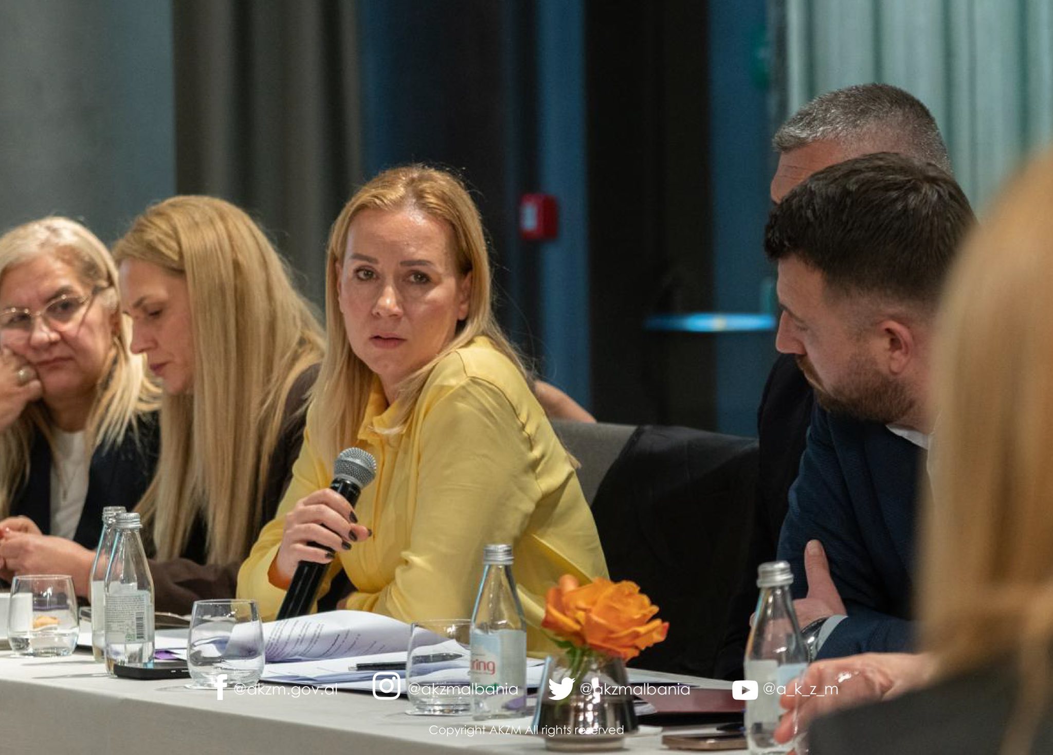 Vlerësimi dhe ngritja e kapaciteteve të komiteteve menaxhuese në zonat e mbrojtura mjedisore