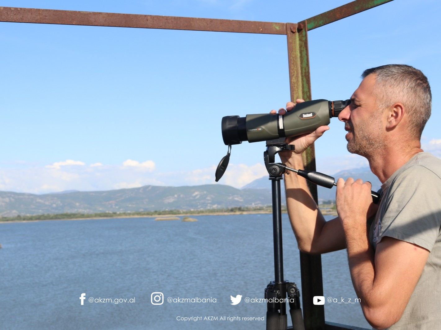 Realizohet ”Censusi i Pelikanëve” për vitin 2026