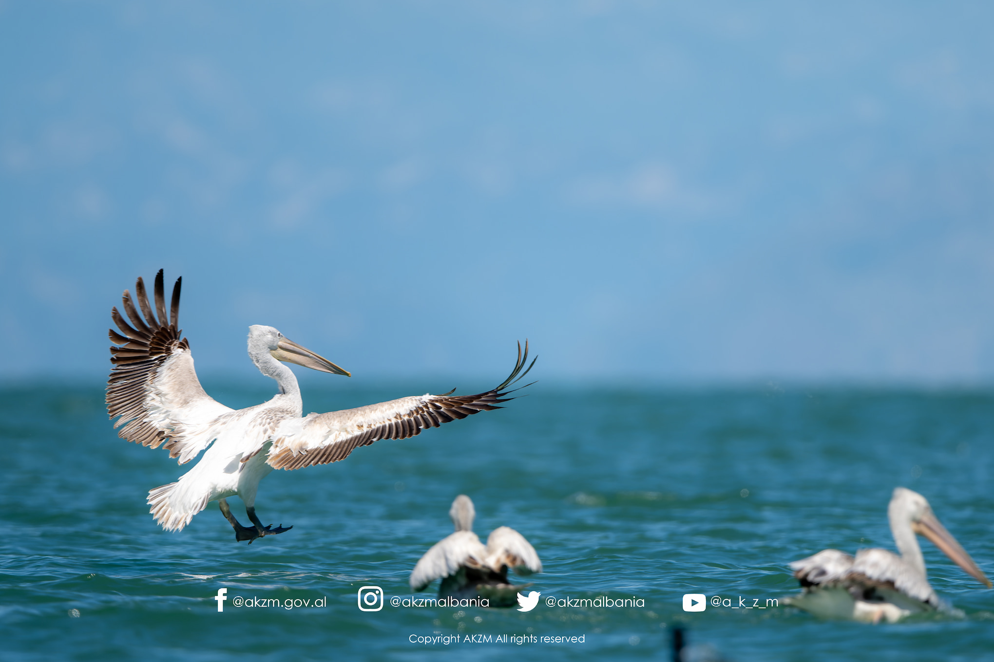 LIQENI I SHKODRËS MERR VULËN E UNESCO-s!