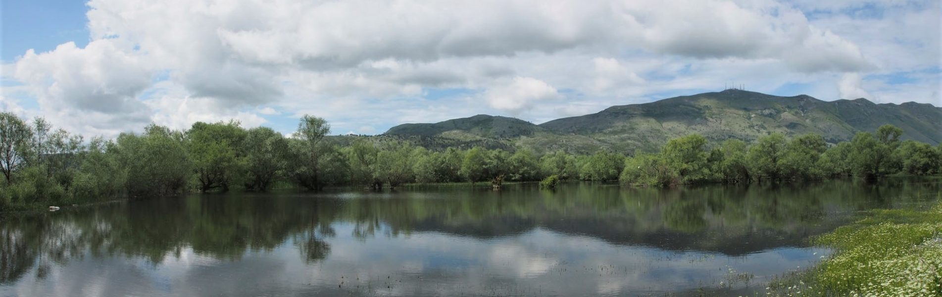 Rezervat Natyror i Menaxhuar “Liqeni i Shkodrës”